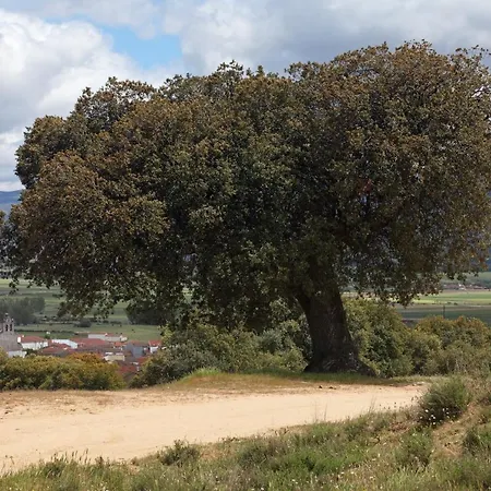El Silo *